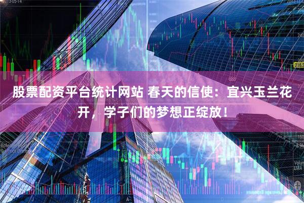 股票配资平台统计网站 春天的信使：宜兴玉兰花开，学子们的梦想正绽放！